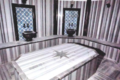 Daire  1+1  Alanya, Antalya, Türkiye №216858 - 11