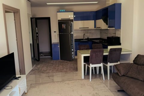 1+1 Wohnung  in Alanya, Antalya, Türkei Nr. 216853 - 9