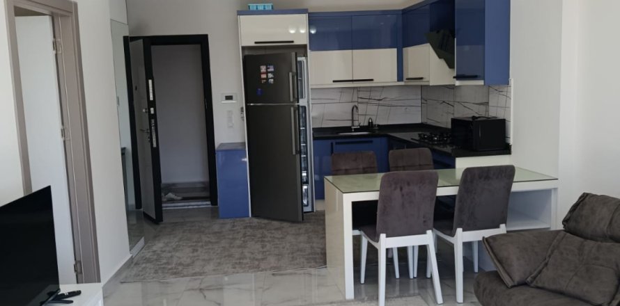 1+1 Wohnung  in Alanya, Antalya, Türkei Nr. 216853