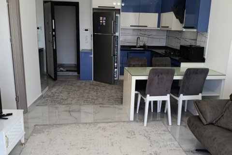 1+1 Wohnung  in Alanya, Antalya, Türkei Nr. 216853 - 8