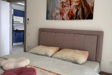 1+1 Wohnung  in Alanya, Antalya, Türkei Nr. 216853 - 22