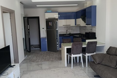 1+1 Wohnung  in Alanya, Antalya, Türkei Nr. 216853 - 30