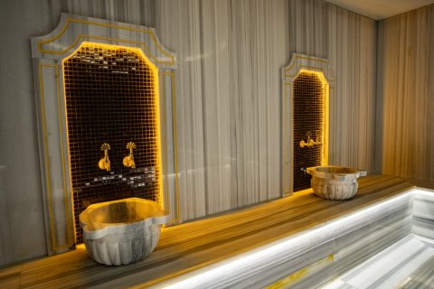 2+1 Wohnung  in Kargicak, Alanya, Antalya, Türkei Nr. 35810 - 25