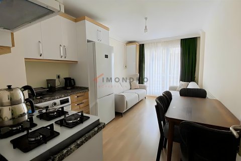 1+1 Wohnung  in Sisli, Istanbul, Türkei Nr. 213679 - 9