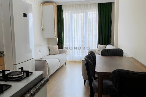 1+1 Wohnung  in Sisli, Istanbul, Türkei Nr. 213679 - 8