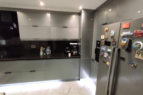 4+2 Villa  i Istanbul, istanbul, Turkiet Nr. 218334 - 3