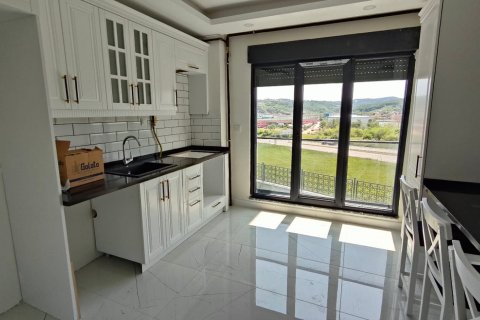4+2 Villa  i Sile, istanbul, Turkiet Nr. 218333 - 3