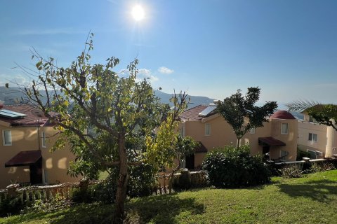 1+1 Lägenhet  i Kargicak, Alanya, Antalya, Turkiet Nr. 216418 - 16