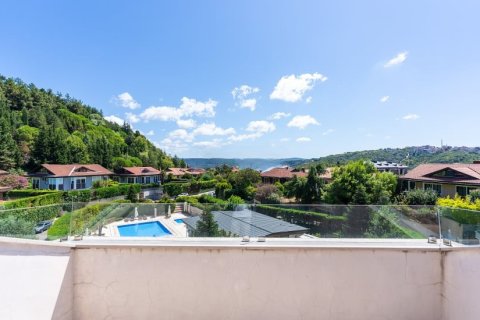 5+1 Villa  in Istanbul, Türkei Nr. 222745 - 2