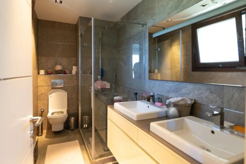 5+1 Villa  in Istanbul, Türkei Nr. 222745 - 3