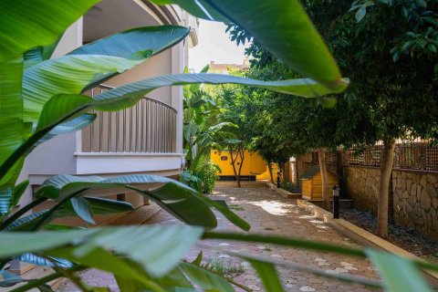Продажа квартиры  в Аланье, Анталье, Турция 3+1, 150м2, №232570 – фото 11