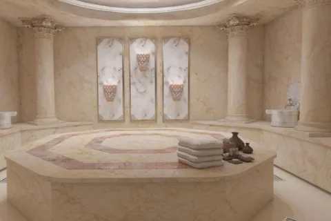 4+1 Lägenhet  i Istanbul, istanbul, Turkiet Nr. 222659 - 8