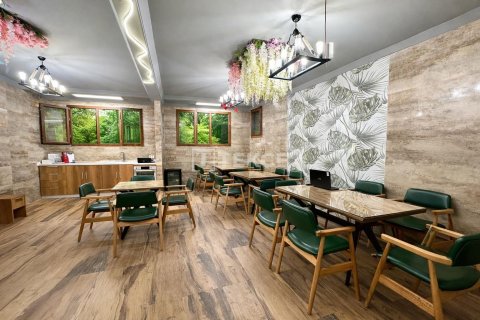 Hotell  i Istanbul, Tyrkia Nr. 232281 - 3