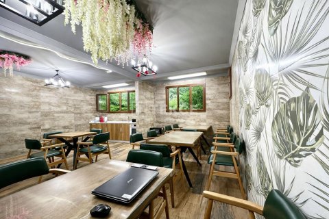 Hotell  i Istanbul, Tyrkia Nr. 232281 - 5