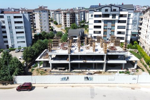 3+1 Lägenhet i Bursa, Turkiet Nr. 228718 - 14