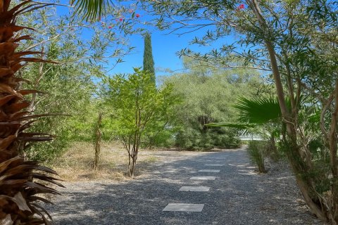 Продажа виллы  в Арапкое, Гирне, Северный Кипр 2+1, 146м2, №214642 – фото 4