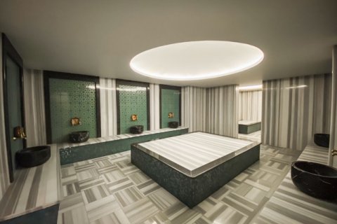 1+1 Wohnung  in Antalya, Türkei Nr. 222718 - 24