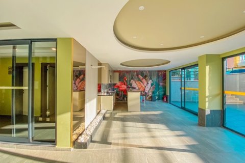 1+1 Wohnung  in Antalya, Türkei Nr. 222718 - 21