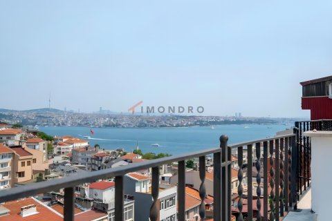 2+1 Lägenhet  i Beyoglu, Istanbul, istanbul, Turkiet Nr. 223239 - 19