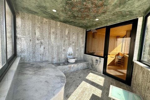 ویلا در  Alanya ، ترکیه 4 خوابه ، 300 متر مربع.  شماره 219406 - 13