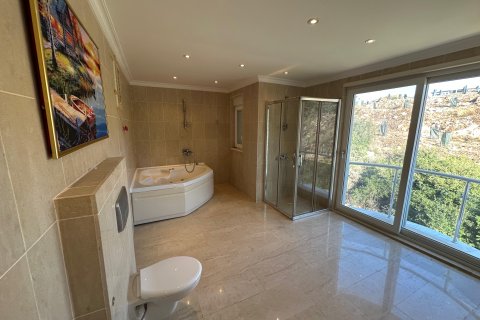 Daire  3+1  Alanya, Antalya, Türkiye №217960 - 21