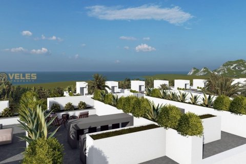 Apartment for sale  in Yeni Erenkoy, Guzelyurt, Northern Cyprus, 2 bedrooms, 88m2, No. 214370 – photo 7