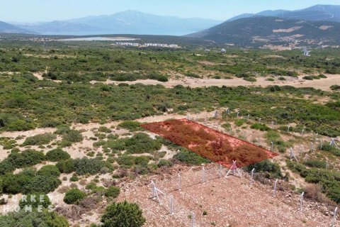 Tomt  i Didim, Aydin, Tyrkia Nr. 233280