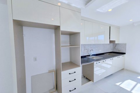3+0 Penthäuser in Oba, Antalya, Türkei Nr. 237402 - 4