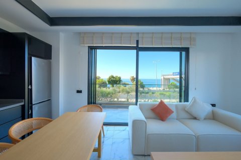 آپارتمان در  Kestel ، ترکیه 45 متر مربع.  شماره 212669 - 2