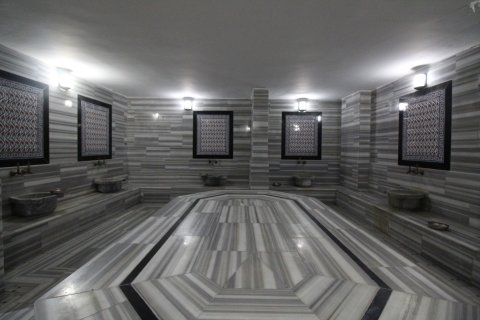 آپارتمان در  Kestel ، ترکیه 2 خوابه ، 110 متر مربع.  شماره 218808 - 19