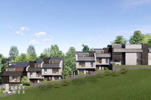 4+1 Villa  i Istanbul, Tyrkiet Nr. 233376 - 17