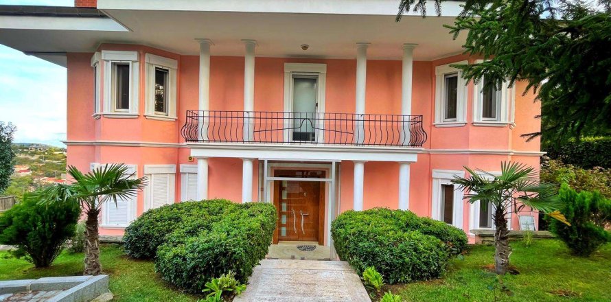 6+1 Villa i Istanbul, istanbul, Turkiet Nr. 233375
