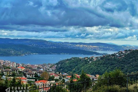 6+1 Villa i Istanbul, istanbul, Turkiet Nr. 233375 - 16