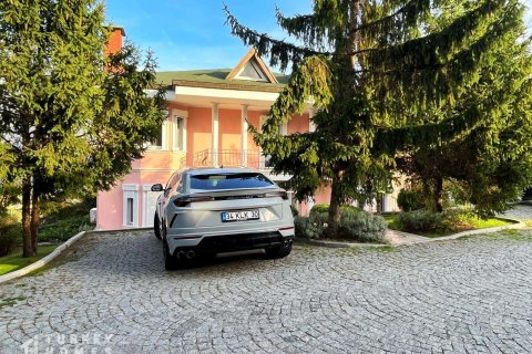 6+1 Villa i Istanbul, istanbul, Turkiet Nr. 233375 - 20