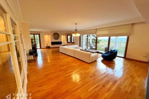 6+1 Villa i Istanbul, istanbul, Turkiet Nr. 233375 - 9