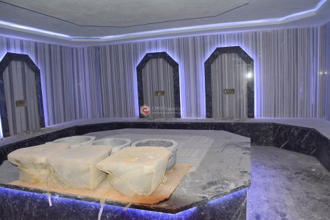 1+1 Lejlighed  i Alanya, Antalya, Tyrkiet Nr. 227827 - 19