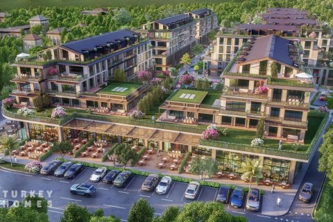 3+1 Lägenhet i Istanbul, istanbul, Turkiet Nr. 233550 - 9