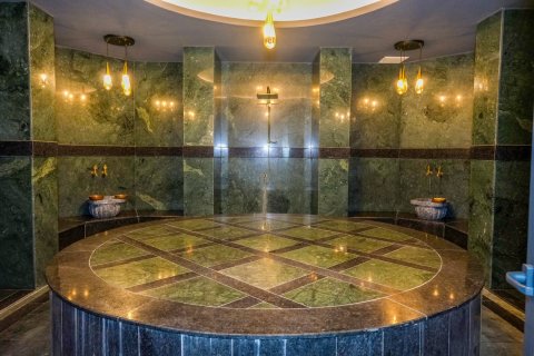 1+1 Lejlighed  i Oba, Antalya, Tyrkiet Nr. 213672 - 14