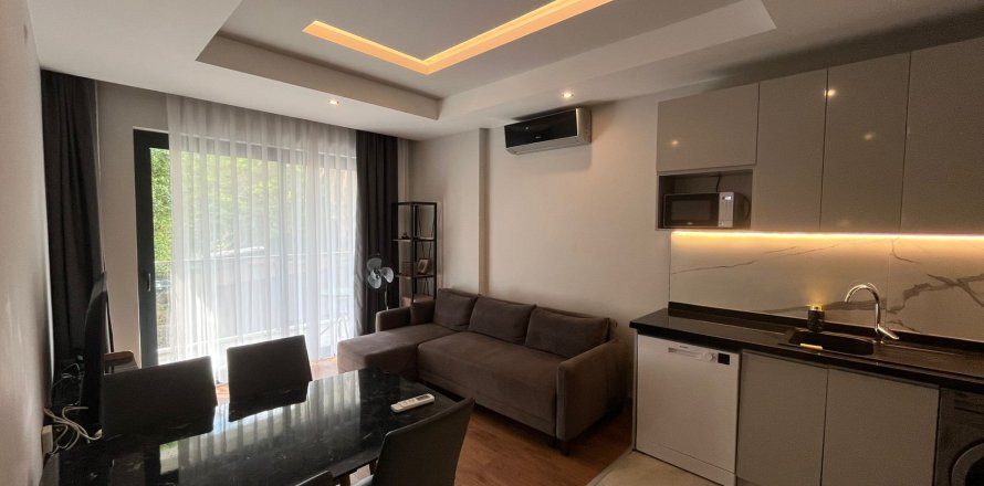 1+1 Apartment  in Alanya, Antalya, Turkey No. 217709