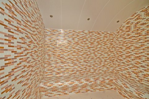 Daire  2+1  Alanya, Antalya, Türkiye №216758 - 4