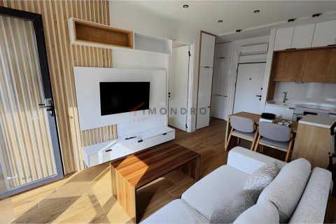 1+1 Wohnung  in Antalya, Türkei Nr. 215870 - 4