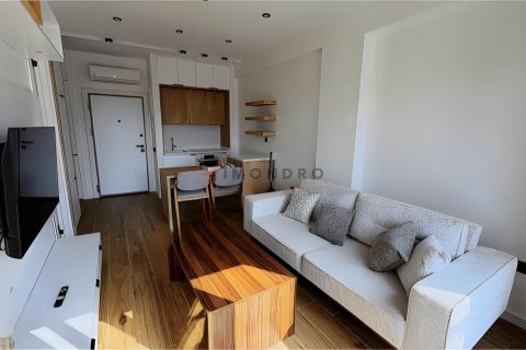 1+1 Wohnung  in Antalya, Türkei Nr. 215870 - 3