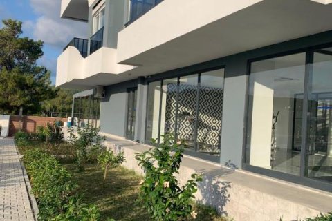 Apartment for sale  in Avsallar, Antalya, Turkey, 45m2, No. 228024 – photo 14