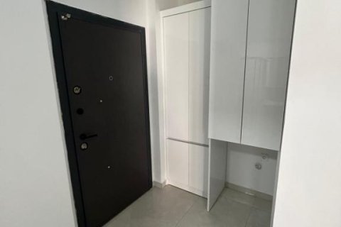Wohnung in Mahmutlar, Antalya, Türkei Nr. 228023 - 9