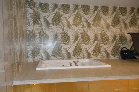 2+1 Wohnung in Oba, Antalya, Türkei Nr. 221821 - 27