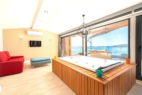 Villa  4+1  Kaş, Antalya, Türkiye №221825 - 22