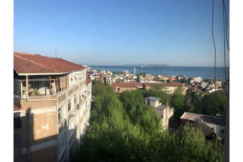 آپارتمان در Fatih،  Istanbul ، ترکیه 3 خوابه ، 135 متر مربع.  شماره 226801 - 3