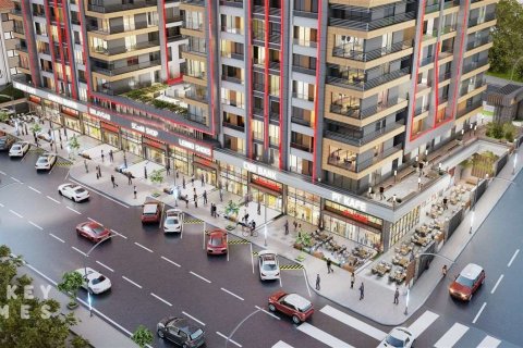 3+1 Leilighet i Istanbul, Tyrkia Nr. 233572 - 11