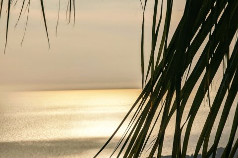 3+1 Villa  in Alanya, Antalya, Turkey No. 217813