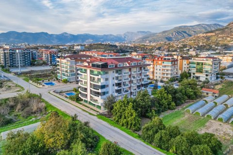 1+1 Lägenhet  i Kestel, Antalya, Turkiet Nr. 218185 - 12